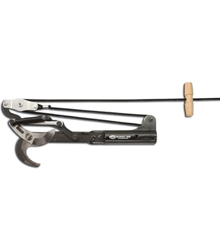 Amazon.com : Corona Clipper Arborist Tree Pruner Complete